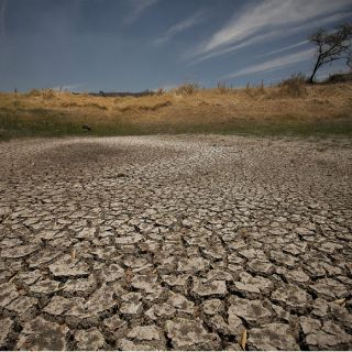 Cambio climático afecta seguridad alimentaria, señala investigador