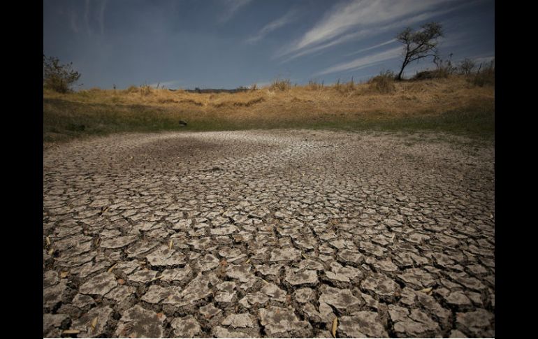 Para 2025 mil 800 millones de personas podrían vivir en regiones con escasez absoluta de agua. EL INFORMADOR / ARCHIVO