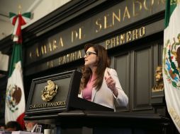 López Castro expresó que el objetivo es ver cómo se conduce el proceso electoral. TWITTER / @cynthialopezc1