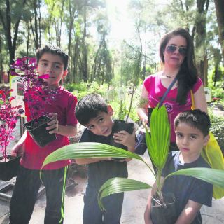 Zapopan es líder en la plantación de árboles en la Zona Metropolitana