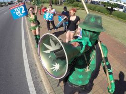 De aprobarse, los mayores de 21 años podrán poseer hasta una onza de la hierba para fines recreativos. AP / N. Tomecek