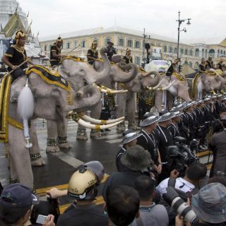 Una formación de elefantes presenta sus respetos al rey Bhumibol