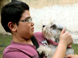 Por lo general, tienes que presentar un certificado de salud expedido por un veterinario. EL INFORMADOR / ARCHIVO