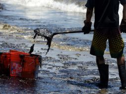La propagación es altamente nociva para el medio ambiente. EFE / ARCHIVO