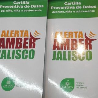 Presentan cartilla para casos de sustracción de menores