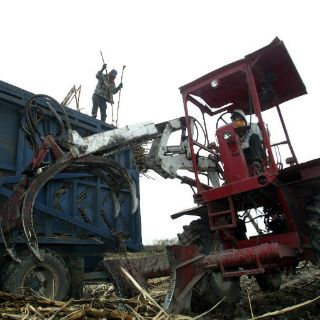 La zafra anual aumentó 2.2%