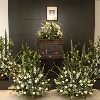 Caricaturistas hacen guardia de honor a Rogelio Naranjo