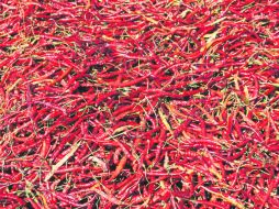 El color rosado que se observa, se debe a la cantera con la que está edificado su primer cuadro. EL INFORMADOR / F. González