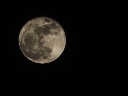 Voltea al cielo, así se aprecia la superluna en Guadalajara. EL INFORMADOR / E. Barrera