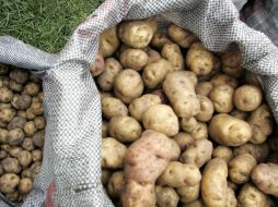 Los Andes pasaron de un modo de vida estable y asentado a otro marcado por la agricultura y los cultivos. AFP / ARCHIVO