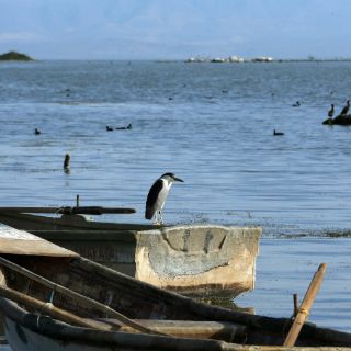 Lago de Chapala recupera más de un metro por temporal