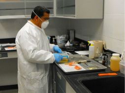 Según el galeno, con cinco pesos puede rehidratar un dedo; recuperar un cuerpo completo costaría aproximadamente 400 pesos. FACEBOOK / Alejandro Hernandez Cardenas Rodriguez