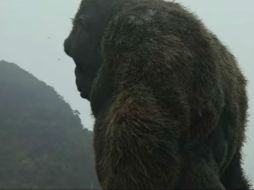 El director Jordan Vogt-Roberts asegura haber creado al Kong más grande que has visto en pantalla. YOUTUBE / Warner Bros. Pictures Latinoamérica