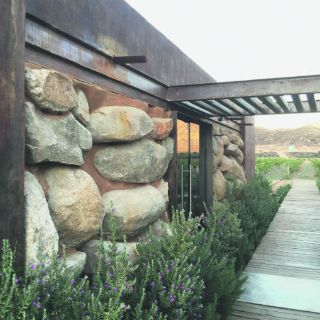 Valle de Guadalupe: chulada y orgullo mexicano