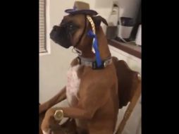 El 'mannequin challenge' de Boston, cuenta con con más de 160 mil reproducciones. TWITTER / @Ryan_Thomas02