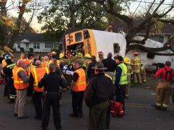 El autobús quedó destrozado alrededor luego de chocar con un árbol. EFE / CFD
