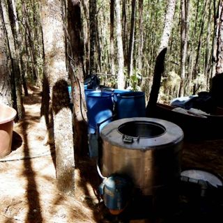 Desmantelan narcolaboratorio en Buenavista, Michoacán