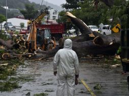 'otto' se ubica a 485 kilómetros al este sureste de Bluefields, en Nicaragua. EFE / R. Arangua
