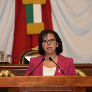 Morena pide no reconocer la prostitución en la Constitución de la capital