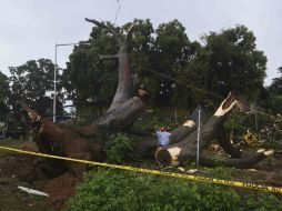 En Panamá, 'Otto' cobró la vida de tres personas, además de generar inundaciones en el país. AFP / R. Arangua