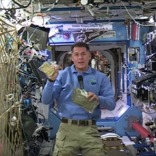 Astronautas festejan Día de acción de gracias en el espacio