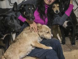 Estos animales son capaces de acordarse de acciones tanto a corto como a largo plazo. EL INFORMADOR / ARCHIVO