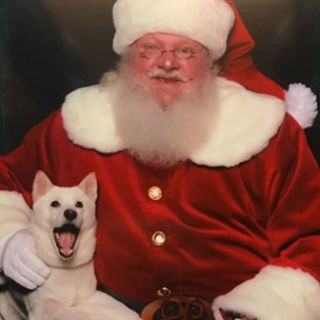 Perrita conoce a su ídolo Santa Claus y conquista la web