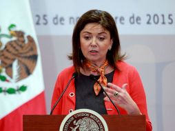 Ana Güezmes destacó el apoyo del sector privado, medios de comunicación, así como de los tres poderes y la recaudación de fondos. NTX / ARCHIVO