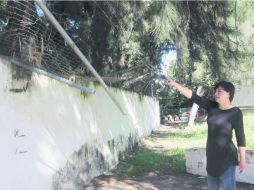 Martha Gabriela Ávalos Real, directora del plantel 'Manuel López Cotilla', señala los árboles que derribaron el enmallado. EL INFORMADOR / M. Vargas