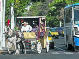 A decir de Enrique Dueñas, representante del CCIJ, el remplazar el caballo por un vehículo alteraría todo el concepto de una calandria. EL INFORMADOR / R. Tamayo