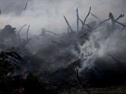 El origen del fuego fue una bomba incendiaria que, aparentemente, buscaba matar a los residentes de todo un asentamiento. AP / A. Schalit