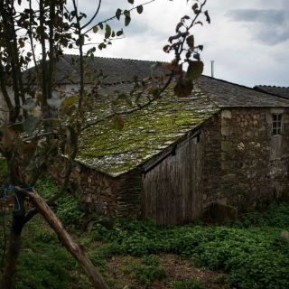 El pueblo gallego de Fidel honra a su vecino más 'ilustre'