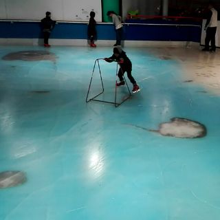 Parque temático nipón se disculpa por congelar peces en pista de hielo