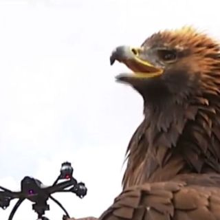 Los drones de combate del EI preocupan a Occidente