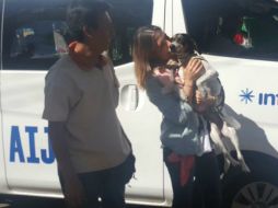 La mujer narró que al llegar a Houston la aerolínea le informó que su mascota no había llegado. TWITTER / @interjet