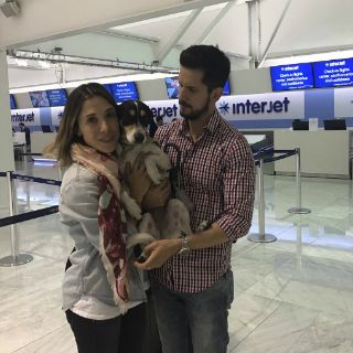 Vuelos gratis como disculpa para los dueños de 'Mika'