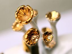 Todas las obras estarán a la venta con valores muy accesibles. EL INFORMADOR / E. Barrera