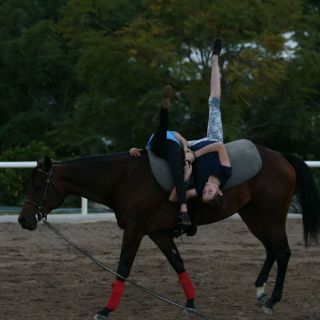 Preparan primer festival de vaulting en la ciudad
