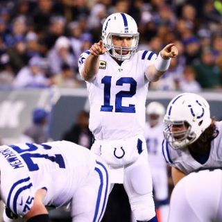 Potros se imponen a Jets