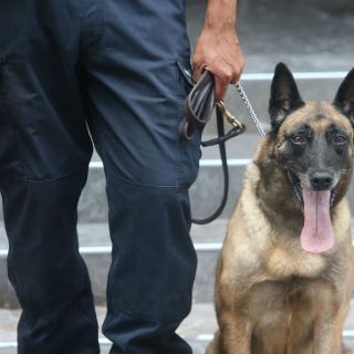 Evacuan dos escuelas en Bruselas por alerta de bomba