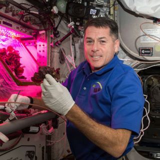 Logran cosecha en Estación Espacial Internacional