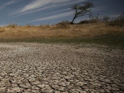 La escasez de lluvias ha impactado además en las cuencas de varias regiones del Perú, afectando los reservorios y caudales fluviales. EL INFORMADOR / ARCHIVO