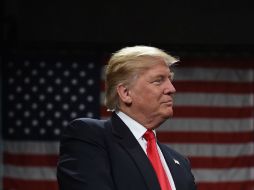 Nuevo nombramiento de Trump en su futuro gabinete.. AFP / ARCHIVO