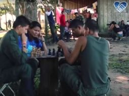 En el video, difundido en redes sociales, aparecen varios guerrilleros jugando ajedrez. YOUTUBE / FARC-EP