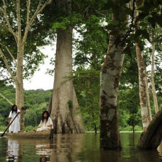 Pobladores de la selva rechazan 'Gendarmería Ambiental' en Chiapas