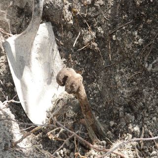 Hallan fosa clandestina con dos cuerpos en Acapulco