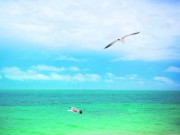 Cancún. El destino más deseado por el turismo de nuestro país. NTX / ARCHIVO