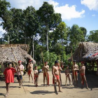 Demandan protección de Tajamar y la selva amazonica en Cancún