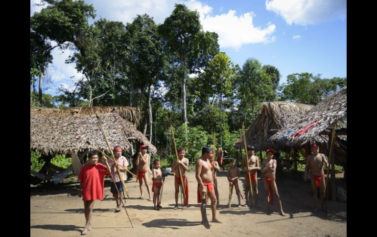El artículo 8-J reconoce el rol de los pueblos indígenas en la conservación y gestión de la Biodiversidad. AFP / ARCHIVO