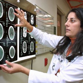 Localizan neuronas que controlan percepción del tiempo